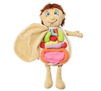 Rianpesn Anatomy Doll for Kids | 3D Human Anatomy Model Doll - Lightweight Plush Stuffed Model, Removable for Home, Preschool, Early Childhood Teaching Aid