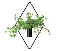 Rianpesn Geometric Wall Plant Holder | Wall Planter Modern Metal Geometric Plant Hanger,Stylish Metal Hanger for Offices, Living Room, Succulent Plants Holder
