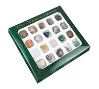 Rianpesn Rock Collection - Rock Collection Box | Mineral Collection Geology Teaching Materials Rock Samples for Studying Geology Earth Science
