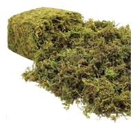 Riare 600g Artificial Fake Moss for Plant- Premium Artificial Moss Fake Green Grass for Potted Plants Greenery Moss Faux Green Moss for Centerpieces Home Kitchen Garden Terrariums Decor