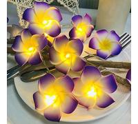 Riaxuebiy 20 LED Purple Plumeria String Lights Frangipani Flower Fairy Lights Eggflower Decorative Garland Battery Operated for Wedding Party Birthday Festival Decor (3m/20led, Purple)