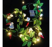 Riaxuebiy Artificial Garlic Chilli Vine Plant Garland String Lights 2 Meter 20 LED Hanging Red Pepper Vine Fairy Lights for Wedding Party Home Garden Festival Décor (A-Chilli Garlic Light, 2)