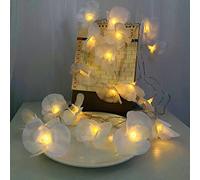Riaxuebiy Artificial Phalaenopsis String Lights, 20Led Fairy Lights Battery Operated Flower Garland Lights for Bedroom Home Wedding Beach Party Hair Decor (White Phalaenopsis, 9.8ft/20LED-USB)