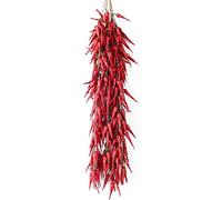 Riaxuebiy Chili String