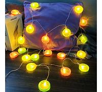 Riaxuebiy Lemon Slice Decor Lights Lemon Green Leaf Vine Fairy Lights 3M 20LED USB Powered Fruit Garland Lamp for Kitchen Patio Fence Camping Holiday Party Summer Decoration (Mixcolor Lemon)