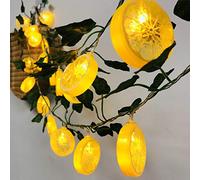 Riaxuebiy Lemon Slice Decor Lights Lemon Green Leaf Vine Fairy Lights 3M 20LED USB Powered Fruit Garland Lamp for Kitchen Patio Fence Camping Holiday Party Summer Decoration (Yellow Lemon-C)
