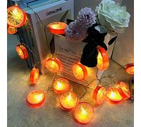 Riaxuebiy Lemon String Light