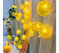 Riaxuebiy Yellow Lemon Slice Decor Lights Lemon Fairy Lights 20LED Battery Powered Fruit Garland Lamp for Kitchen Bar Patio Fence Deck Balcony Camping Holiday Party Decoration (Lemon Slice, 3M/20LED)