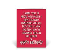 Rib ticklerz - Funny Birthday Cards - I Want You To Know How Much I Have Enjoyed Annoying You Happy Birthday Joke Card - Husband Boyfriend Girlfriend Wife - CD128