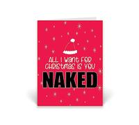 Rib ticklerz - Funny Christmas Card - Husband Wife Boyfriend Girlfriend Joke Card - All I Want For Christmas Is You Naked - Rude Banter Partner Xmas Card - CD277