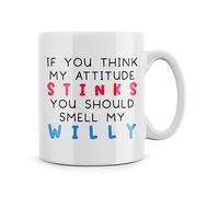 Rib ticklerz - Funny Rude Joke Mug If You Think My Attitude Stinks You Should Smell My Willy Gifts for Her Best Friend Colleague Jokes Christmas Banter Mug - MG245