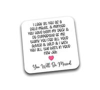 Rib Ticklerz - Leaving Gift For Colleague Coaster - Role Model Mentor Help Advice - Friend Work Bestie Leaving Work Gift - New Job - Farewell Bye Good Luck - DC70