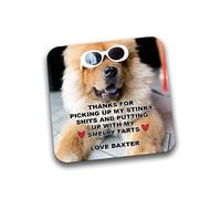 Rib Ticklerz - Personalised Funny Photo Coaster From The Dog - Thanks For Picking Up My Stinky Shits Smelly Farts Dog Mum Present - DC85