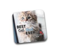 Rib Ticklerz - Personalised Photo Coaster From The Cat - Best Cat Dad Ever - Custom Gifts Cat Dad Present - Birthday - Christmas - DC83