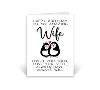 Rib ticklerz - Wife Birthday Card - Birthday Card For Wife With Penguins - Amazing Wife Birthday Card - Love You Still Always Will - Wifey Birthday Cards - CD477