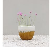 Ribbed Textured Glazed Round Patio Planter in Two Tone Yellow 30cm Primrose Brown One Size