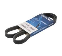 Ribbed V-Belt DAYCO 5PK1230EE