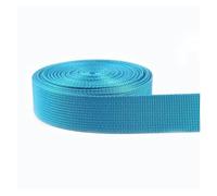 Ribbon 5Meters 20-38mm Nylon Webbing Tape Trim Sewing Material Safety Belt Knapsack Strap Bag Buckles Clothing Accessories for Decoration(SkyBlue,25mm)