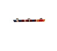 RIBBON BAR AND PIN Queen's Golden, Diamond, Platinum Jubilee And Fire Brigade LSGC