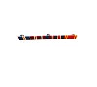 RIBBON BAR AND PIN, Queens Golden, Diamond, Platinum Jubilee, King's Coronation And Fire Brigade LSGC