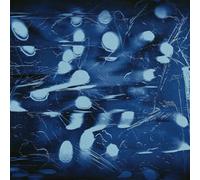 Ribbon Skirt - Pensacola [VINYL]