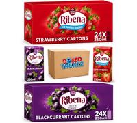 Ribena Ready to Drink Juice Bundle 48 x 250ml | 24 Strawberry & 24 Blackcurrant | Vitamin C Fruit Juice Drink | No Artificial Colours or Flavours | Boxed Treatz