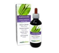 Ribwort Plantain or Narrowleaft Plantain (Plantago lanceolata) Leaves Alcohol-Free Mother Tincture Naturalma - Liquid Extract Drops 200 ml - Food Supplement - Vegan