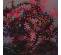 Ricardo Tobar - If I Love You [VINYL]