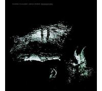 Villalobos,Ricardo - Microgestures [VINYL]