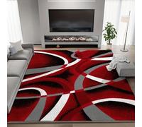 RICAUOU Contemporary Abstract Swirl Area Rug, 60x90cm Modern Geometric Living Room Carpet in Red Black Gray White, Soft Non-Slip Floor Mat for Bedroom, Dining Room, Home Office Decor