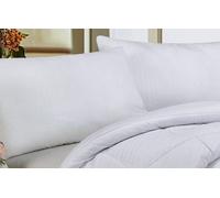 Riccardo Valeria Luxurios 100% Pure & ultra soft Microfibre Pillow Pair - 2 Pack microfibre pillow - 5 Star Hotel Quality - Anti Allergic - Anti Fungal - Anti Dustmite - Anti Bacterial
