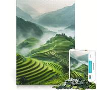 Rice Fields Morning Light 1000 Piece Jigsaw Puzzles for Teenagers Jigsaw Enhance Memory Cozy Relax Firm Cut Festive Gift (50x75cm)