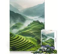 Rice Fields Morning Light 1000 Piece Jigsaw Puzzles for Teenagers Jigsaw Enhance Memory Cozy Relax Firm Cut Festive Gift (50x75cm)