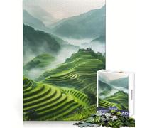 Rice Fields Morning Light 1000 Pieces Jigsaws Adults Puzzles Gifts Mind Challenge Toy Easy Leisure Precise Cut (38x52cm)
