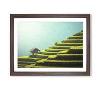 Rice Plantation In Cambodia Modern Art Framed Print | A2 Walnut Framed Wall Art | Ready to Hang | Modern Nature Picture | Living Room Bedroom Lounge Office