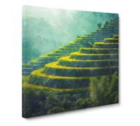 Rice Plantation In Cambodia Vol.1 Canvas Print | Gallery Wrapped 30mm Frame Wall Art | 14x14 inches | Ready to Hang | Modern Picture | Living Room Bedroom Lounge Office