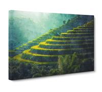 Rice Plantation In Cambodia Vol.1 Canvas Print | Gallery Wrapped 30mm Frame Wall Art | 24x16 inches | Ready to Hang | Modern Picture | Living Room Bedroom Lounge Office