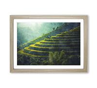 Rice Plantation in Cambodia Vol.1 Painting Framed Print | A2 Oak Framed Wall Art | Ready to Hang | Modern Historical Picture | Living Room Bedroom Lounge Office