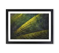 Rice Plantation in Cambodia Vol.2 Painting Framed Print | A2 Black Framed Wall Art | Ready to Hang | Modern Historical Picture | Living Room Bedroom Lounge Office
