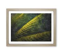 Rice Plantation In Cambodia Vol.2 Painting Modern Art Framed Print | A4 Oak Framed Wall Art | Ready to Hang | Modern Historical Picture | Living Room Bedroom Lounge Office