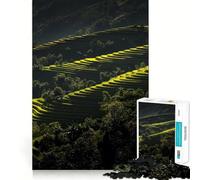 Rice Terraces in Vietnam Hard Jigsaw Puzzle for Adults 1000 Pieces Mind Challenge Toy Gentle Leisure Precise Cut Memorable Gift (50x75cm)