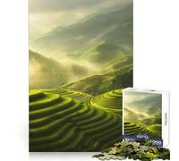 Rice Terraces Mountains Jigsaw Puzzle for Teenagers 1000 Pieces Mind Game Toy Relaxed Mind Neat Cut (50x75cm)