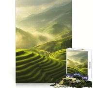 Rice Terraces Mountains Jigsaw Puzzles 1000 Pieces for Teenagers Raise Memory Easy Leisure Clean Edge Xmas Surprise (38x52cm)