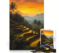 Rice Terraces Sunset 1000 Piece Jigsaw Puzzles for Teenagers Boost Memory Gentle Relax Premium Cut Bday Surprise (50x75cm)