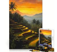 Rice Terraces Sunset Jigsaw Puzzles 1000 Piece for Teenagers Fine Logic Toy Easy Leisure Neat Edge Festival Gift (38x52cm)