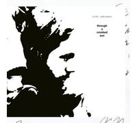 Rich Robinson - Through A Crooked Sun