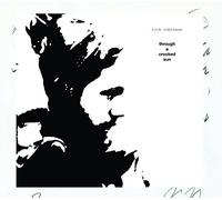 RICH ROBINSON - Through a Crooked Sun [VINYL]