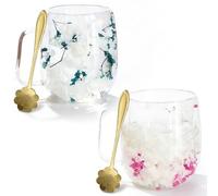 Richaa 2pcs Dried Flowers Double Walled Glass Mug with Handle - 350ml Cappuccino Cup Double Walled Coffee Mug Latte Glass Coffee Mug Coffee Glass Gifts for Women(with Spoon)