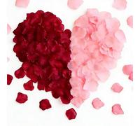 Richaa 6000 Pieces Dried Rose Petals, Artificial Red Rose Flowers Romantic Valentines Decorations, Emulation Roses Petals for Bedroom Wedding Confession Party Decoration (Red + Pink)