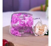 Richaa Dried Flowers Double Walled Glass Mug with Handle - 200ml Cappuccino Cup Hot Chocolate Mug Latte Glass Coffee Mug Original Gifts